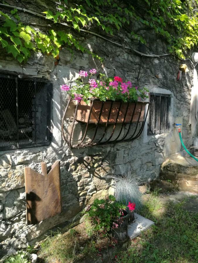 Gasthaus Pra De Mande Viano Exterior foto